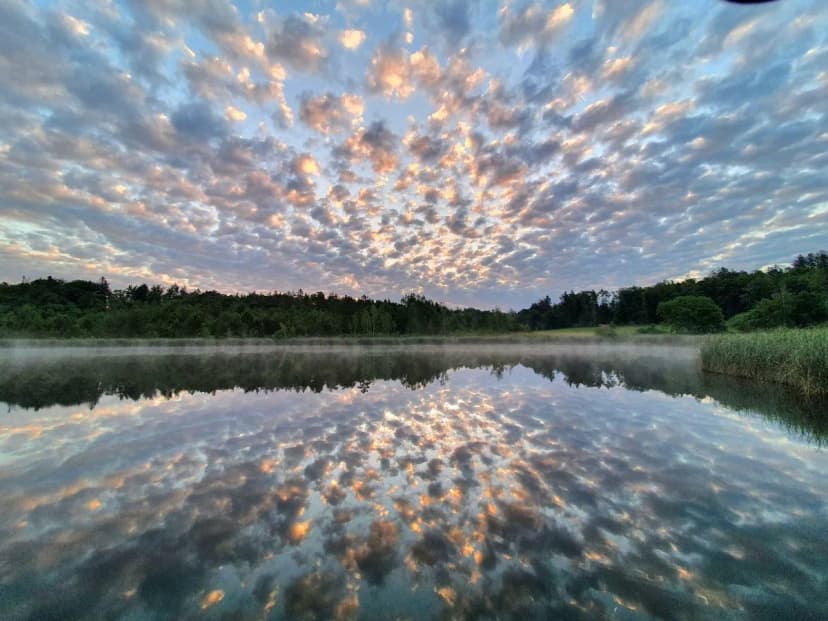 Altocumulus